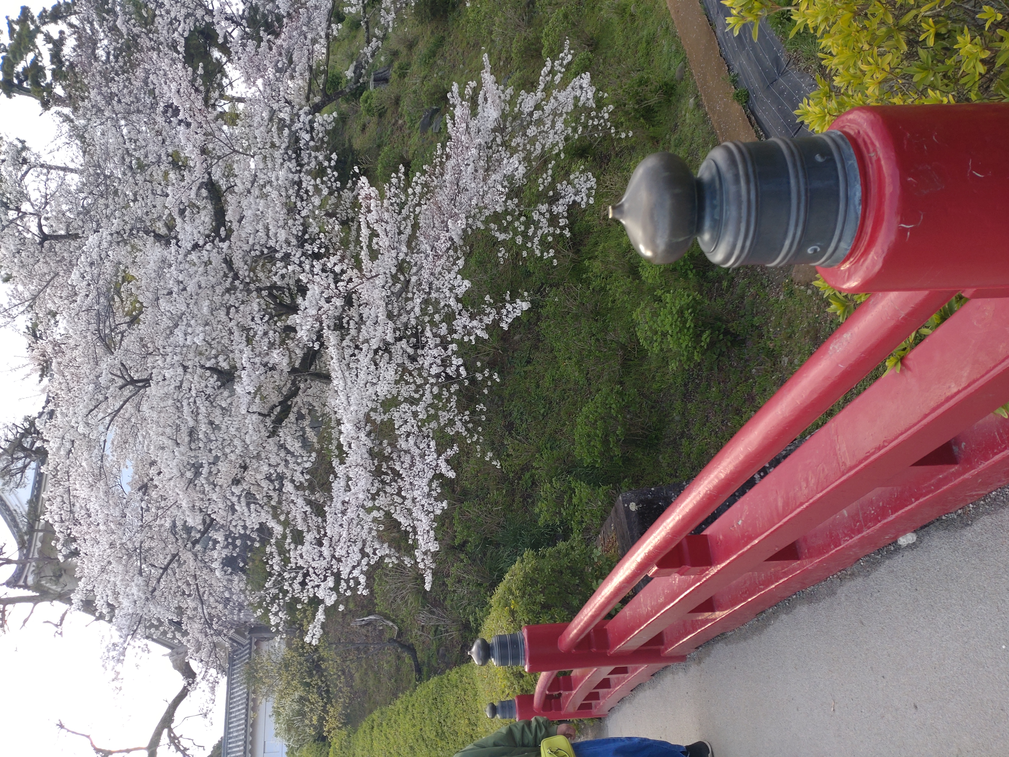 小田原市 屋根塗装 施工事例 相建装